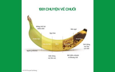 1001 chuyện về chuối