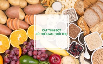 Cắt tinh bột có thể giảm tuổi thọ