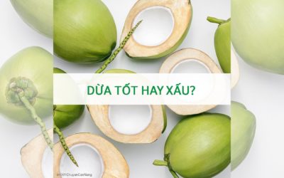 Dừa tốt hay xấu?