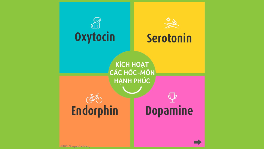 hóc-môn hạnh phúc