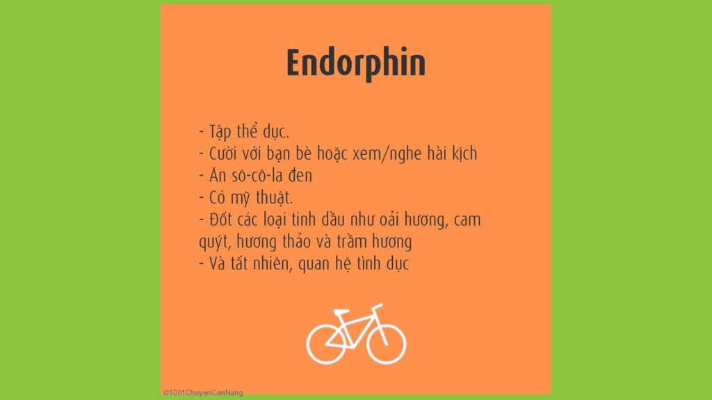 hóc-môn hạnh phúc endorphin