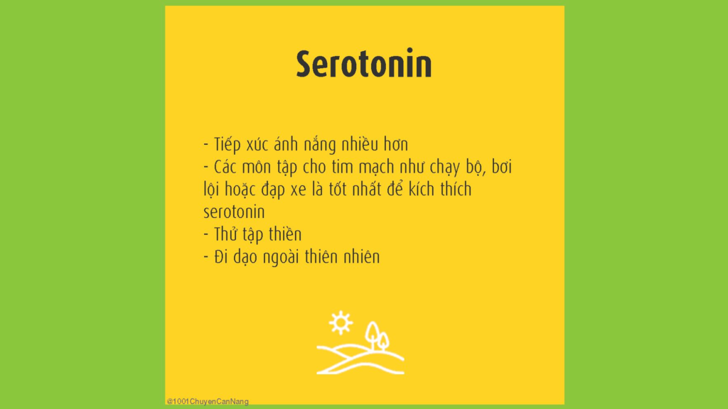 hóc-môn hạnh phúc serotonin