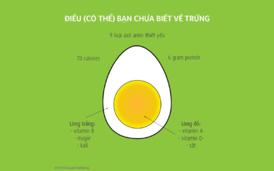 Điều (có thể) bạn chưa biết về trứng?