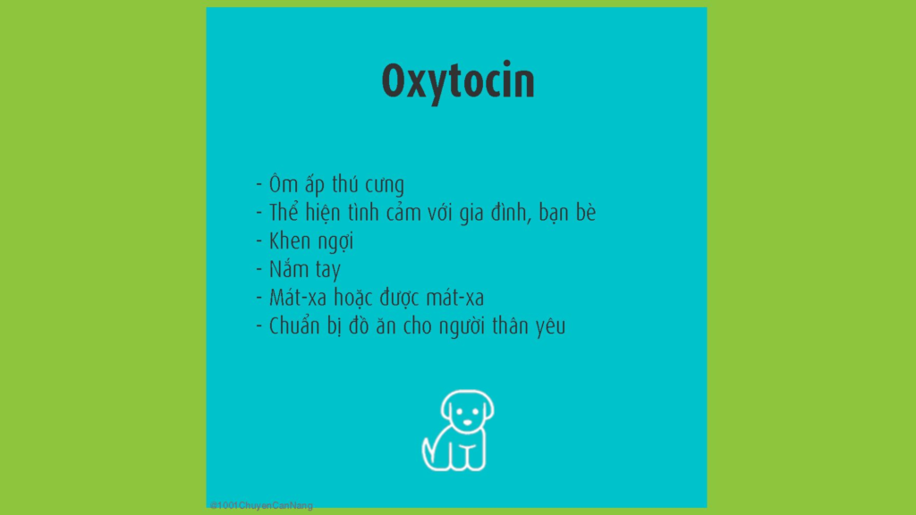 hóc-môn hạnh phúc oxytocin