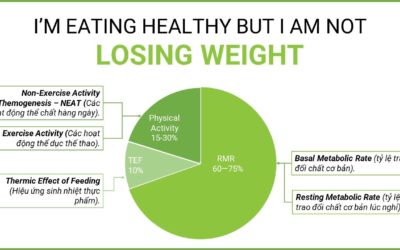 Tại sao ăn uống “healthy” mà vẫn không thể giảm cân?