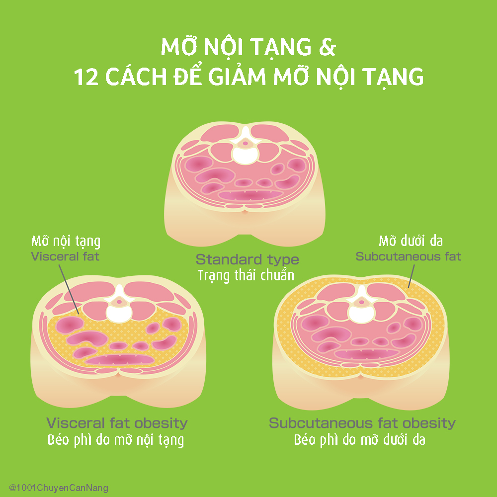 mỡ nội tạng