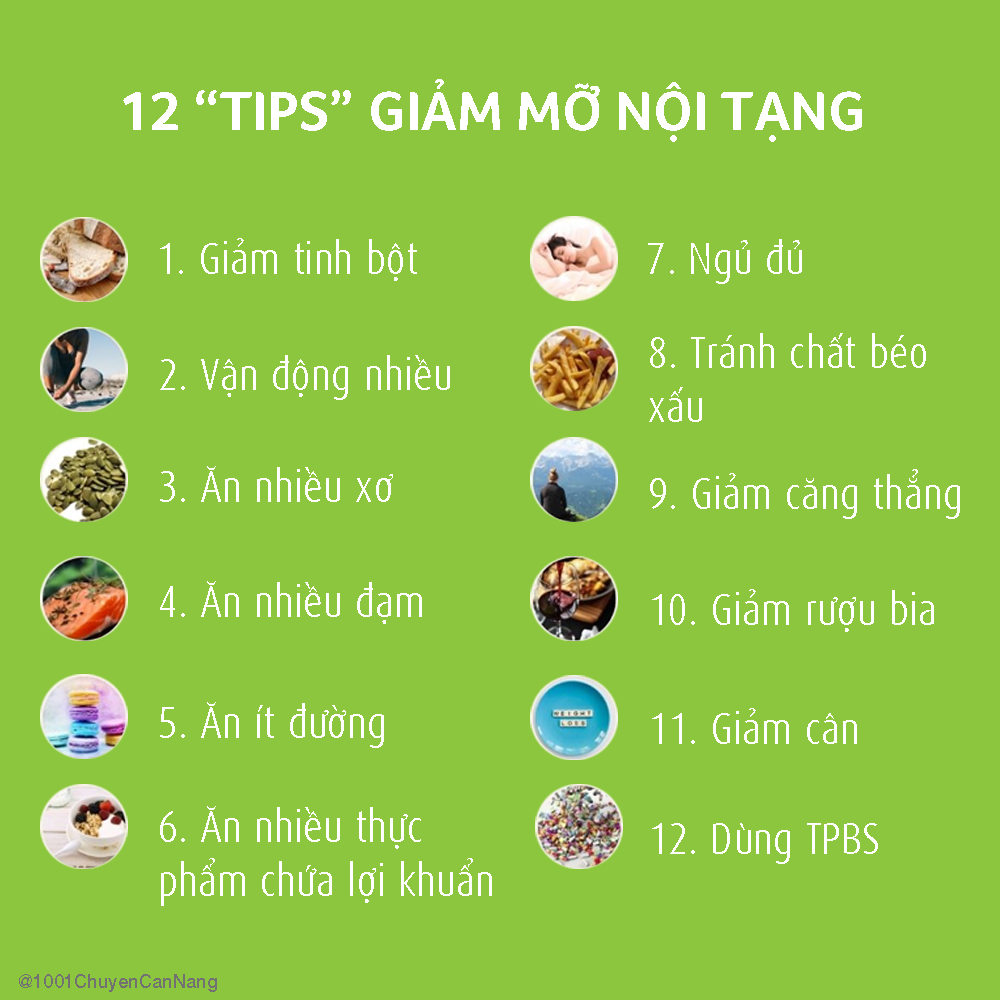 Mỡ nội tạng và 12 cách giảm