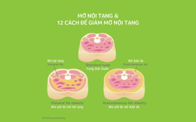 Mỡ nội tạng và 12 “tips” giảm mỡ nội tạng